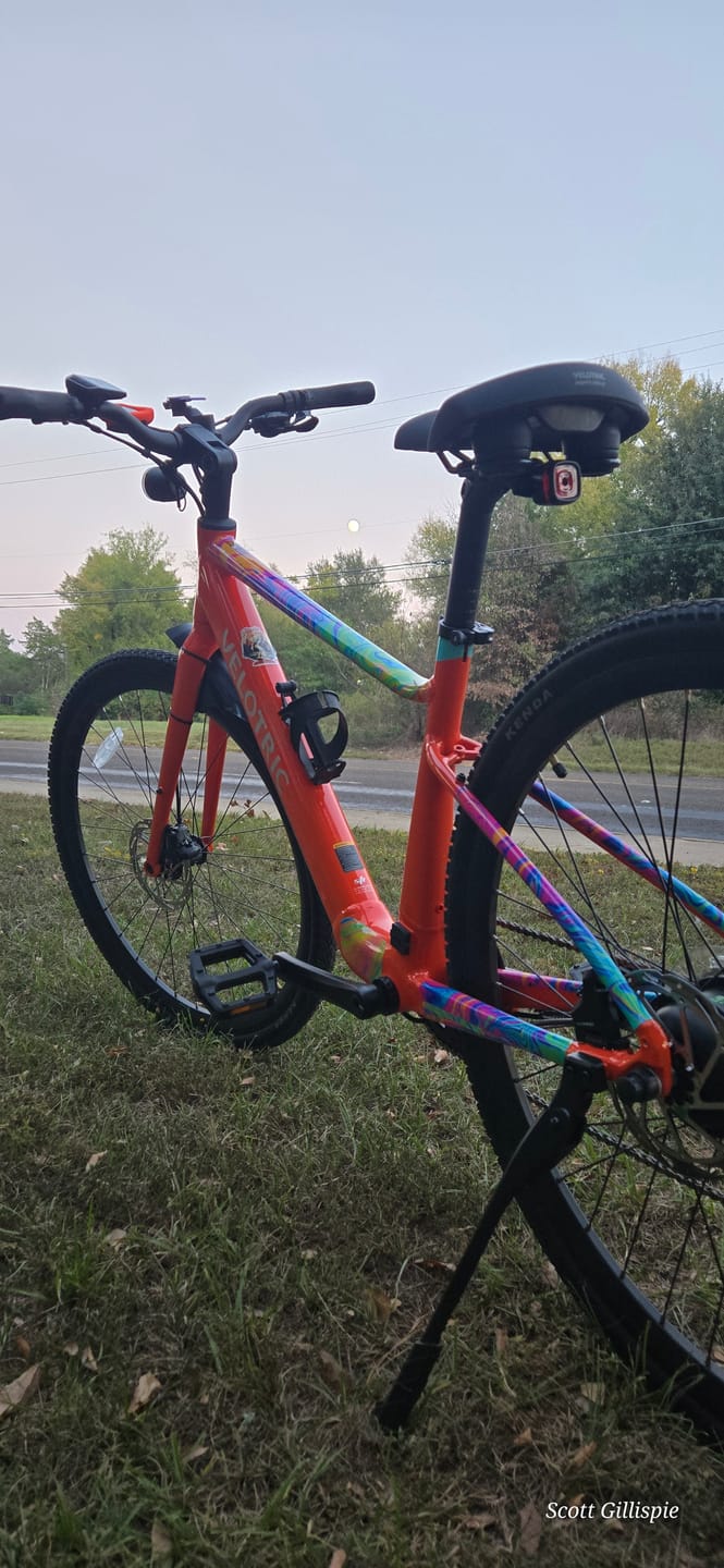 Customer photo review of Oil Slick Frame Keeper