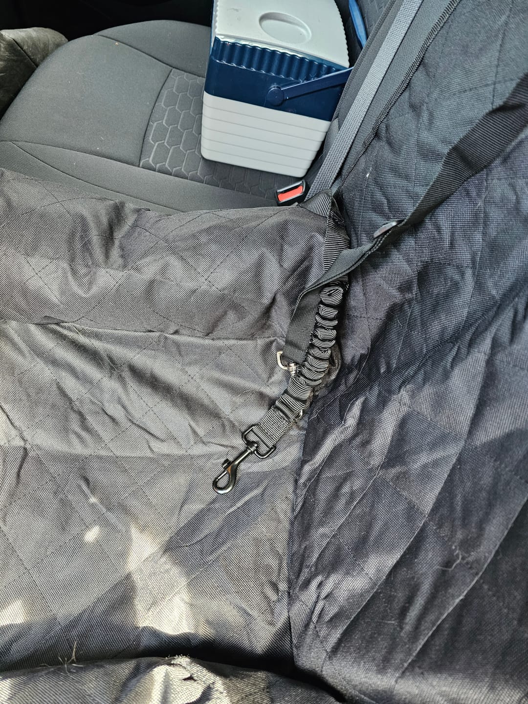 Customer photo review of Pet Seat Belt