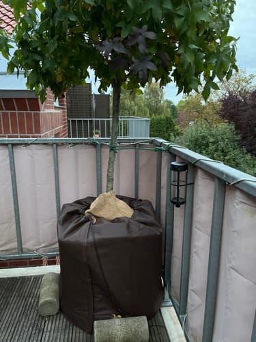 Customer photo review of Winterschutz für Kübelpflanzen mit Fenster XL H 100 x B 80 cm Ø 51 cm