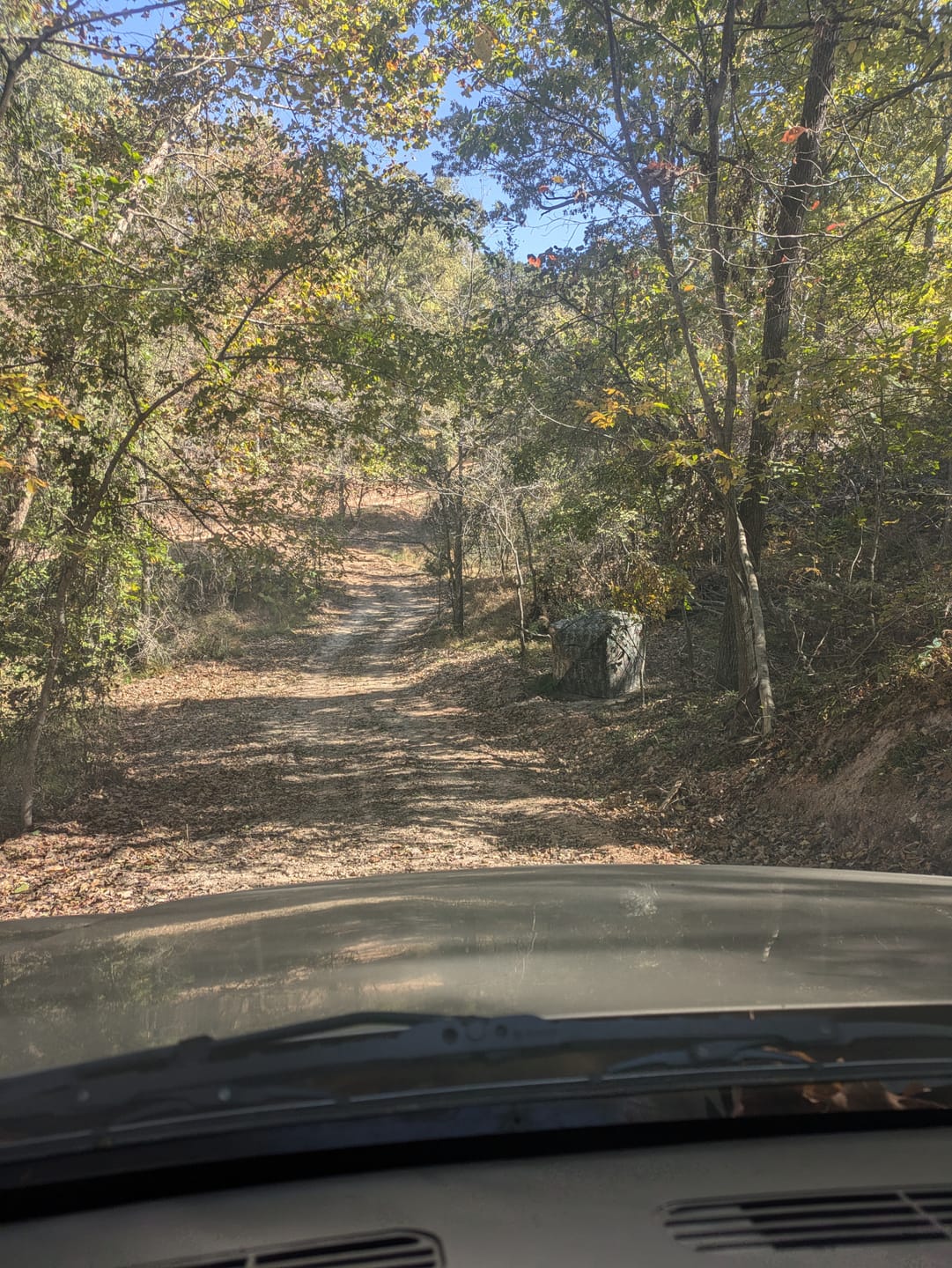 Customer photo review of VisST See-Through Pop-Up Ground Blinds with Silent Magnetic Door