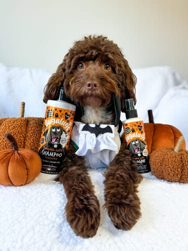 Customer photo review of Spooky Edition: Pumpkin Latte Bundle (Shampoo + Cologne)