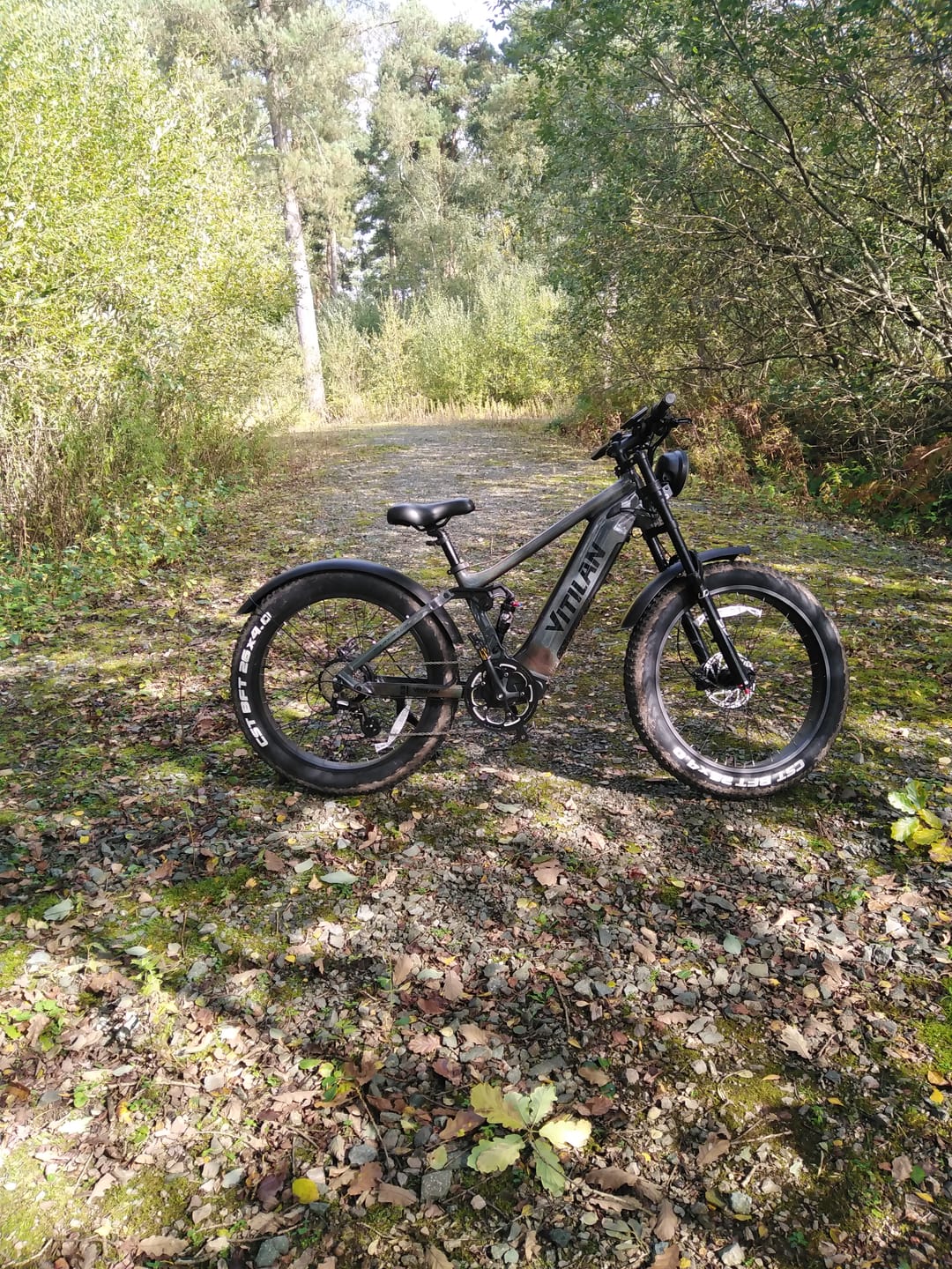 Customer photo review of T7 Full Suspension Mountain E-bike