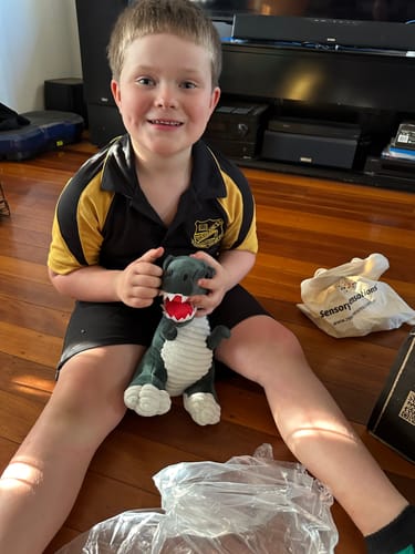 Customer photo review of Large Weighted Dinosaur Plush 2Kg