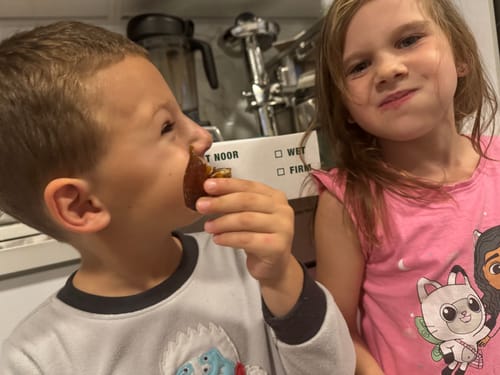 Customer photo review of Organic Large Medjool Dates Box