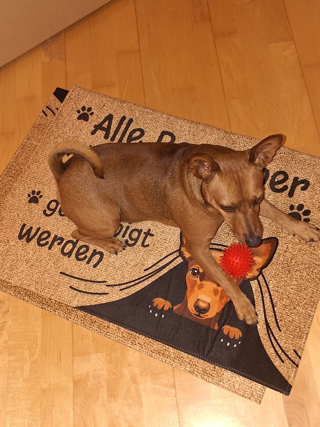 Customer photo review of Besuch genehmigt - Individuelle Fußmatte