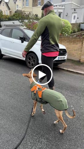 Customer video review of Fleece Sighthound Base-Layer Coat with Underbelly and Snood