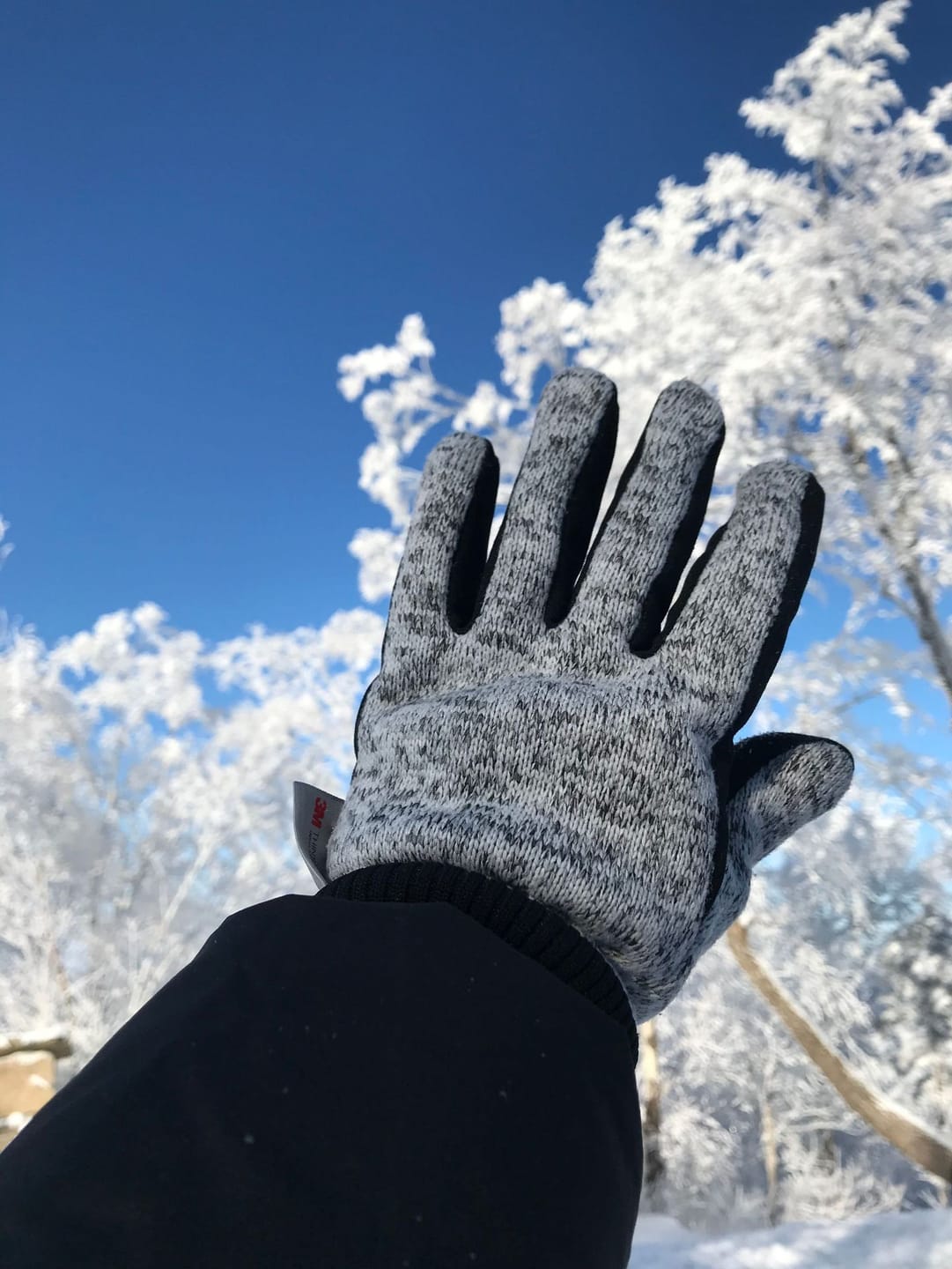 Customer photo review of ThermoFit - Multifunktionshandschuhe