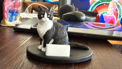 Customer photo review of Turn Pet Photo into Statue