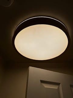 Customer photo review of Round LED Wood Flush Mount Light