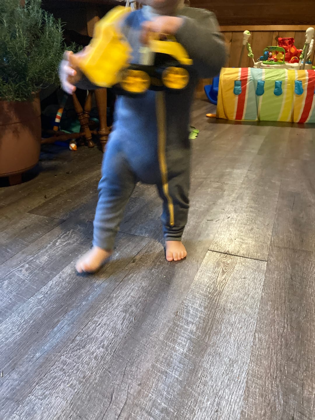 Customer photo review of baby adventure zippy