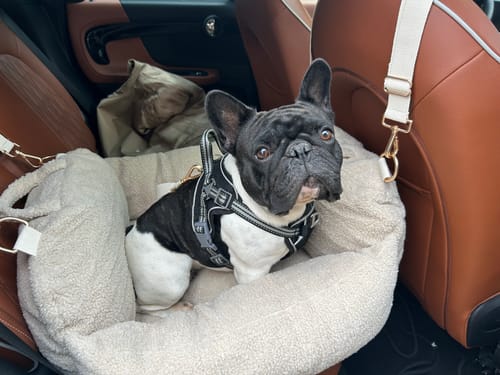 Customer photo review of Hazelnut | The Cosy Car Seat