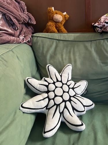 Recensione con foto di un cliente su Stella  ⭐️ Alpina