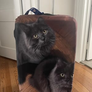 Customer photo review of Personalized Photo Luggage Cover, Custom Pets Cats Dogs Aesthetic Print Suitcase Bag Protector Travel Customized Wrap Small Large Gift