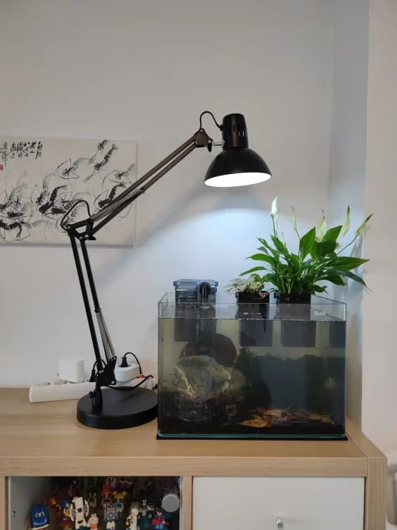 Customer photo review of APPLIQUE LED