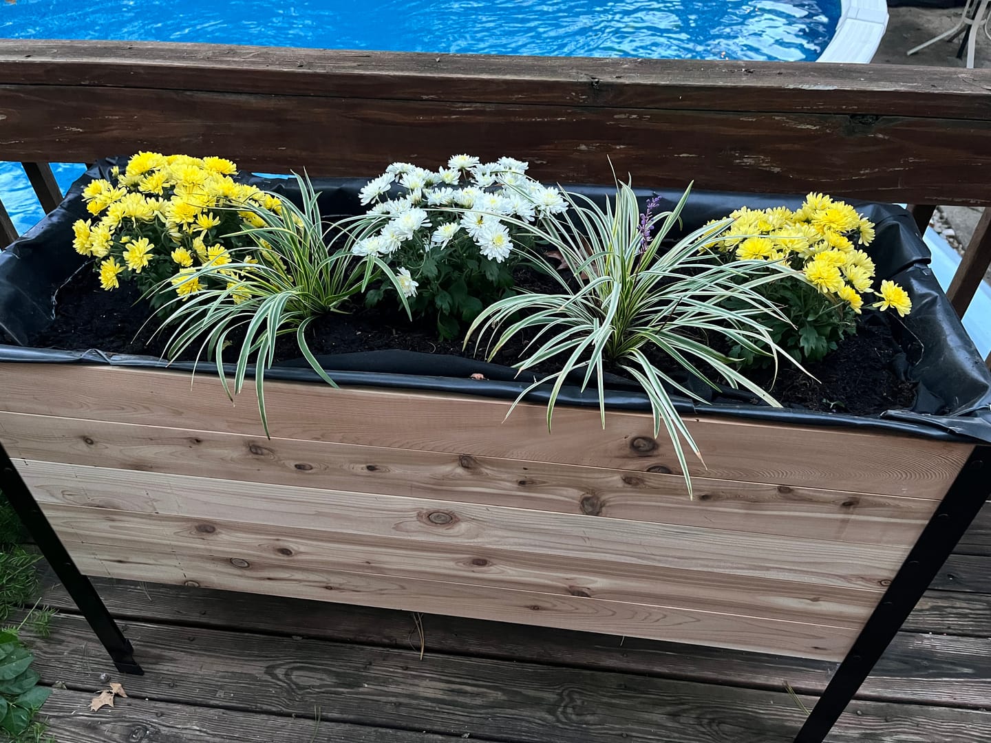 Customer photo review of Raised Garden Bed - 46cm x 122cm x 76cm