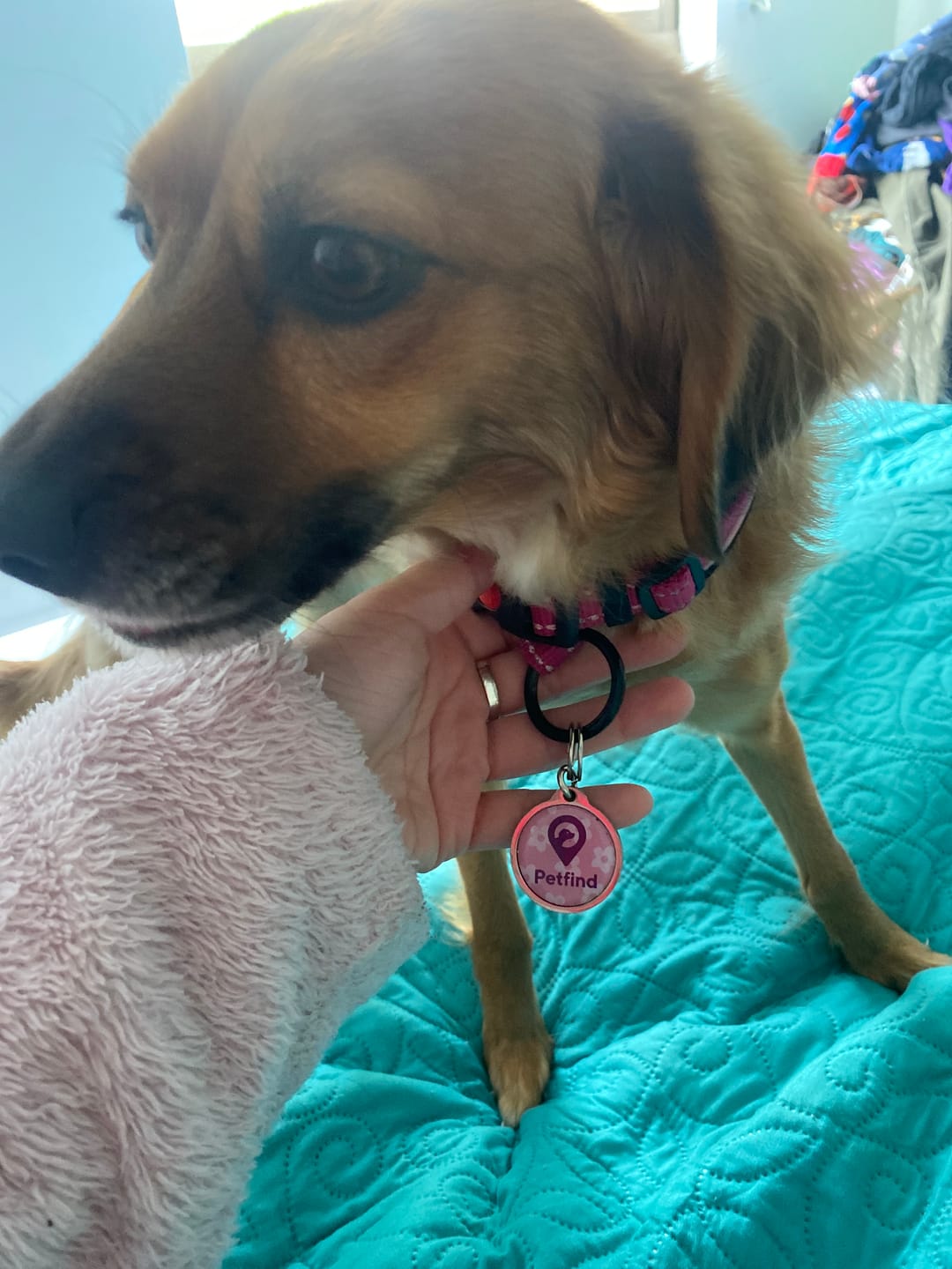 Customer photo review of Placa Rosada Flores