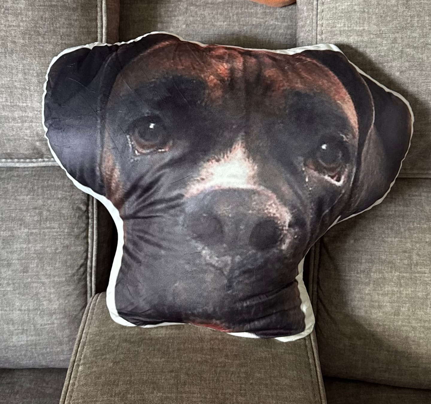 Customer photo review of Custom Pet Face Shaped Pillow from Your Pet Photos, Customized Pet Head Pillows