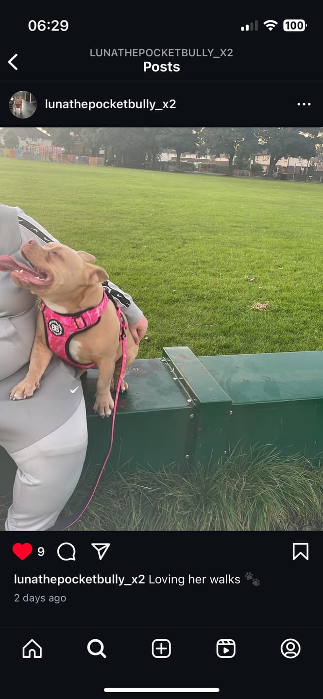 Customer photo review of Premium Comfort Harness | Non Restrictive & Adjustable - Bubblegum v2.0