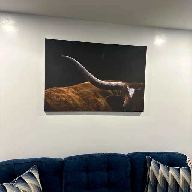 Customer photo review of Texas Longhorn Bull Wall Art Canvas Print - Large Framed Canvas Wall Art, Animal Print for Rustic Home or Office Décor, Farmhouse Cabin Wall Decor