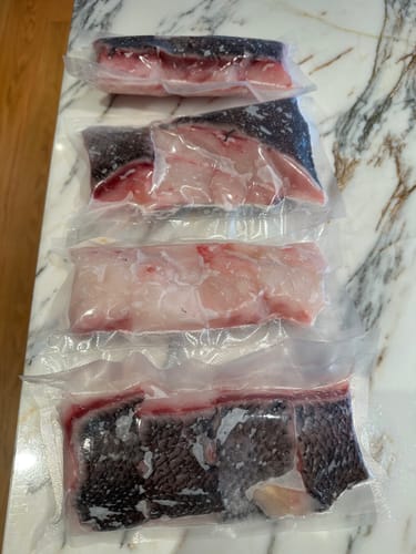 Customer photo review of Fresh Bluenose Whole (5KG)