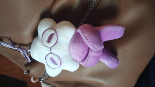 Customer photo review of Adopt a Star Baby Plush Blind Box