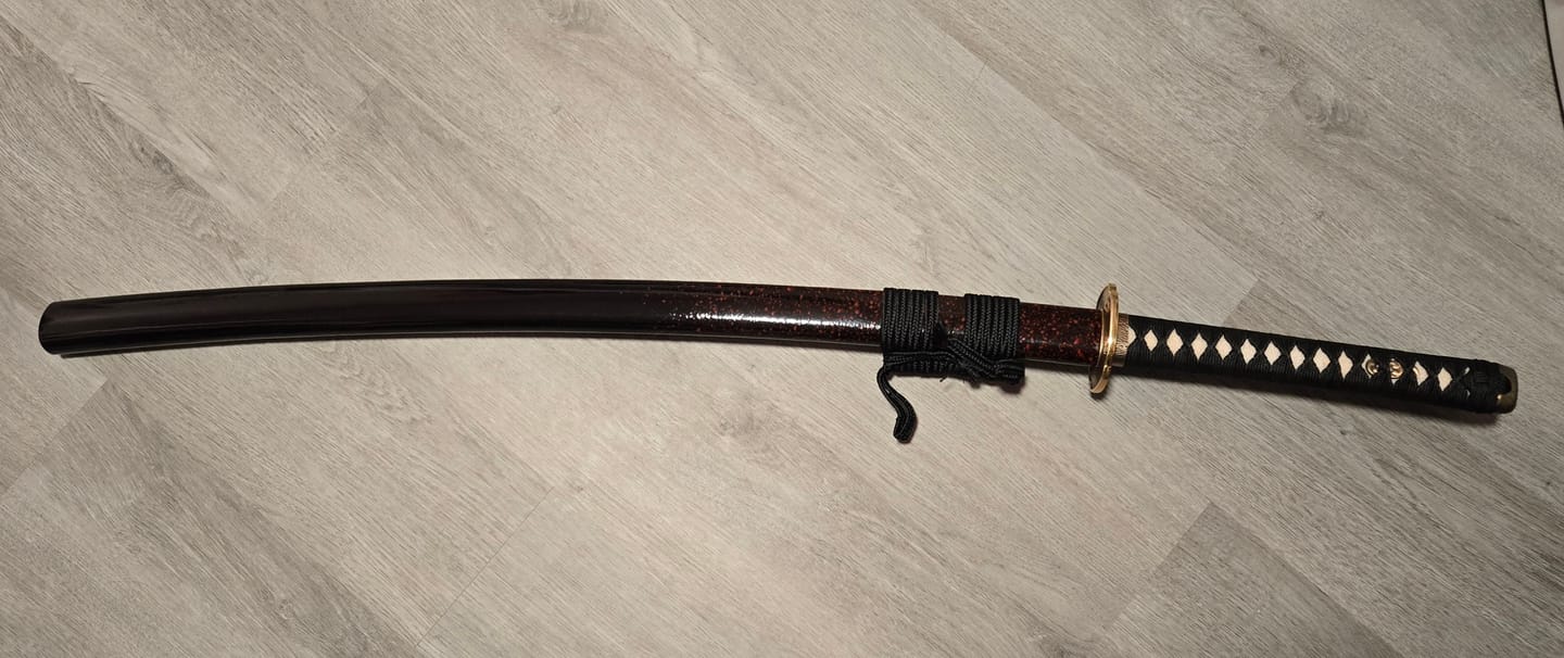 Customer photo review of The Surudoi Handmade Katana Extra Sharp Spring Steel Unokubi-Zukuri