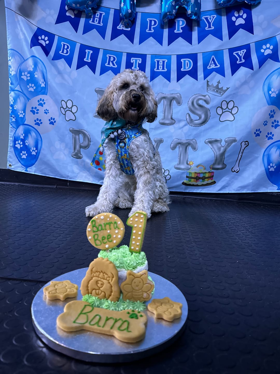 Customer photo review of Disney© Tough Trails™ Harness - Simba