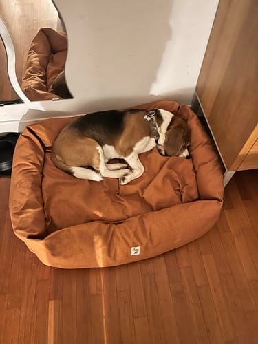 Customer photo review of Divanetto Mattias Caramello (Soft Touch)