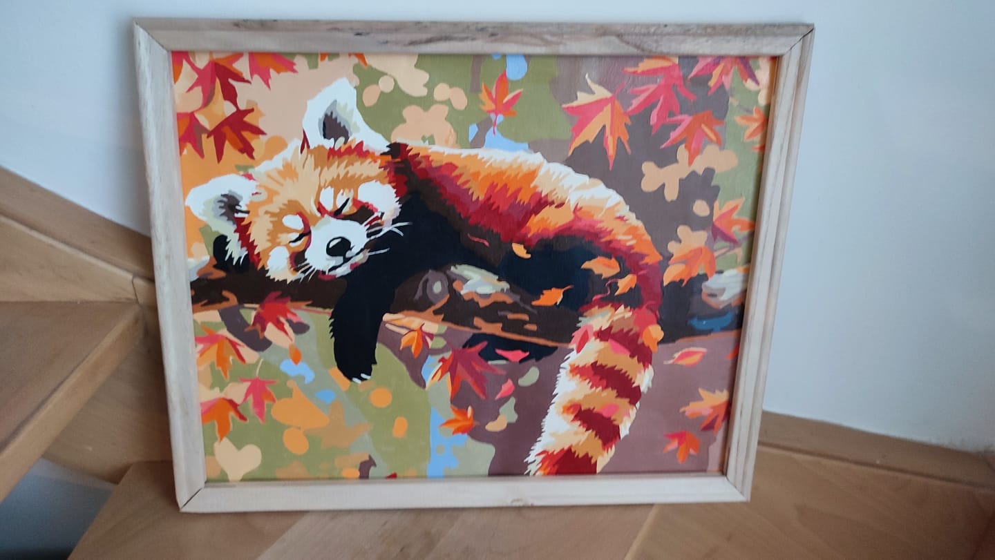 Customer photo review of Relaxed Red Panda