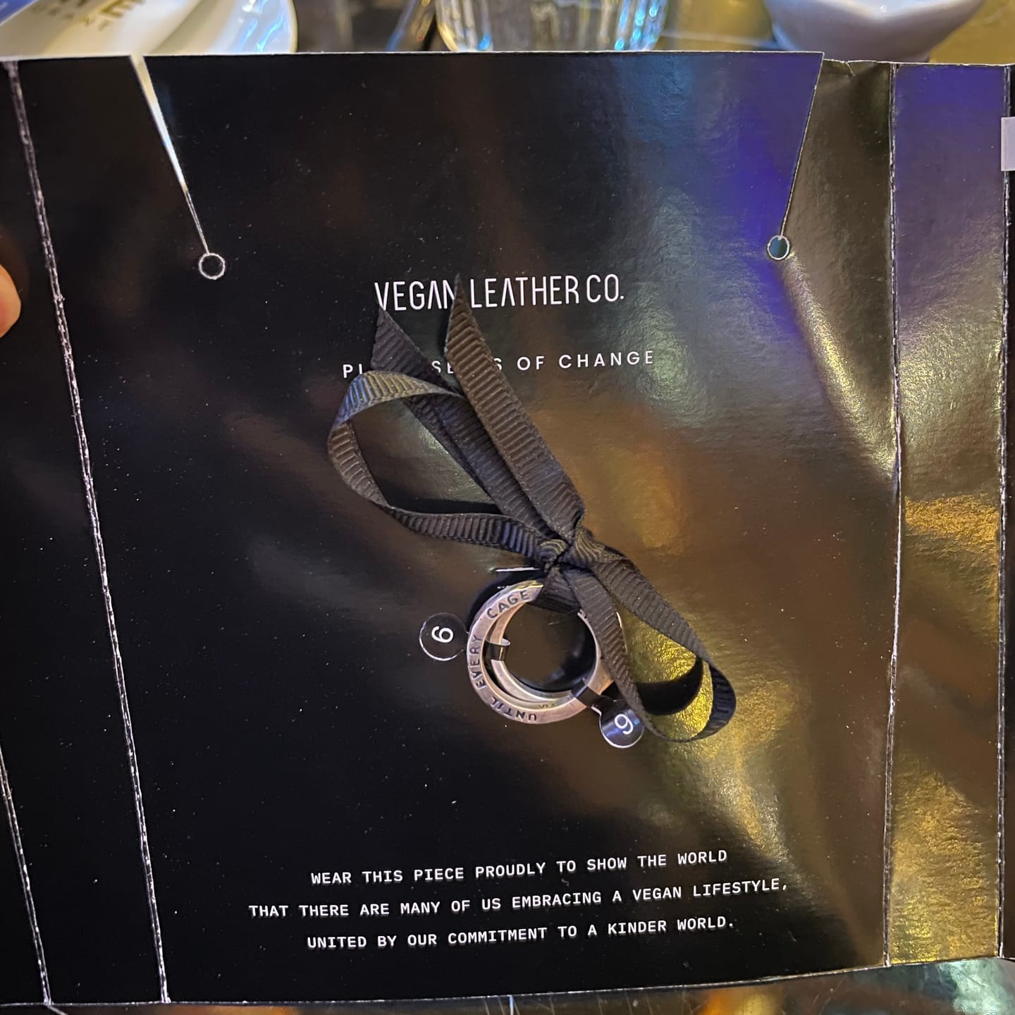 Customer photo review of Until Every Cage is Empty | Silver Ring