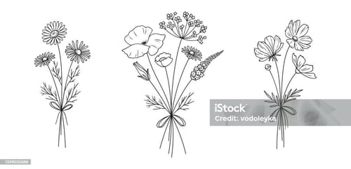 Customer photo review of Limited Edition Spooky Wonder Dough 🎃👻