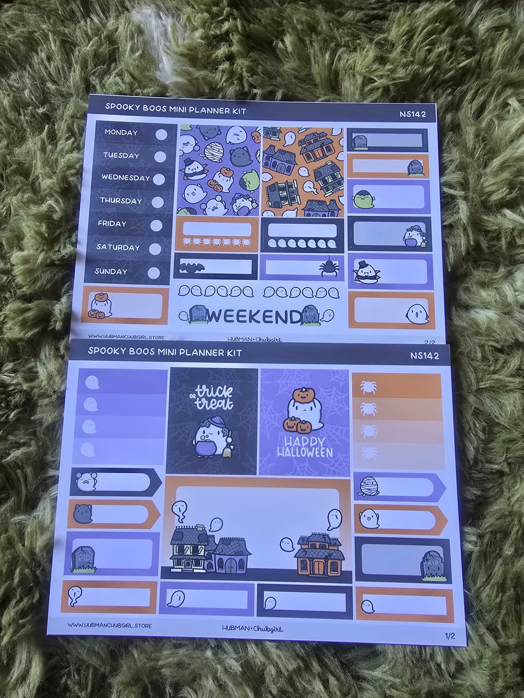 Customer photo review of Halloween Mini Planner Kit (Set of 2)