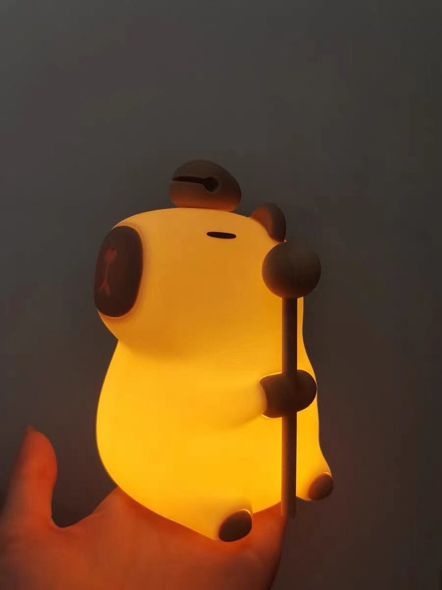 Customer photo review of MeWaii® Capybara Squishy Night Light - Perfect Gift 🎁