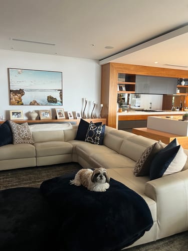 Customer photo review of Inter Gem Embroidery Navy Lounge Cushion 55 x 55cm