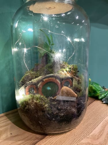 Customer photo review of Halbling-Höhle Flaschengarten mit Bonsai und Moos