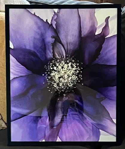 Customer photo review of 13x16 Giclee Fine Art Prints