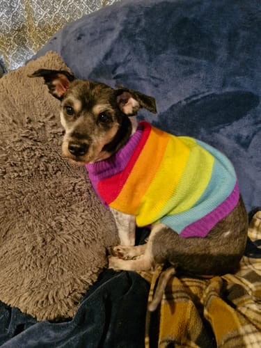 Customer photo review of Manuka Balm Distraction Treat Bundle