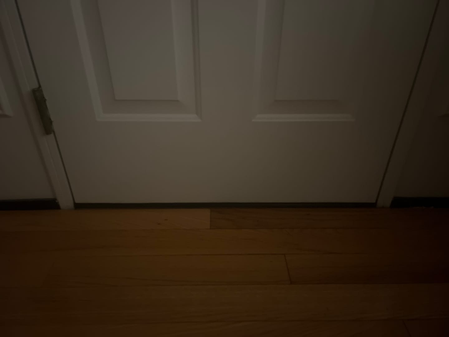 Customer photo review of Therma-Tru Drive-On Door Sweep