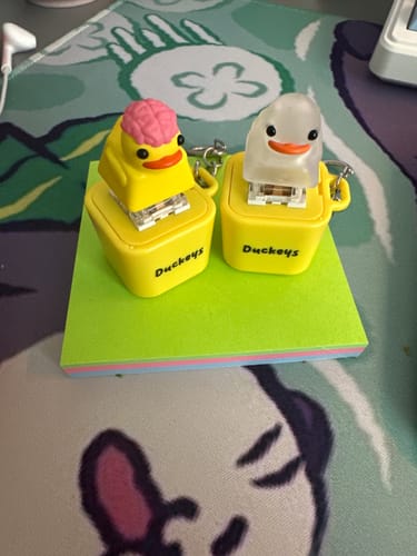 Customer photo review of Quackey - Fidget Toy that Quacks!