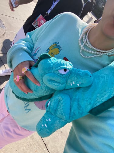 Customer photo review of Gemini Baby Silver