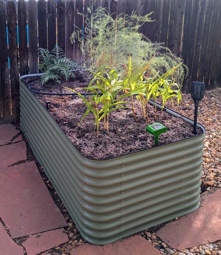 Customer photo review of 29” Tall Birdies Large Modular Raised Garden Bed