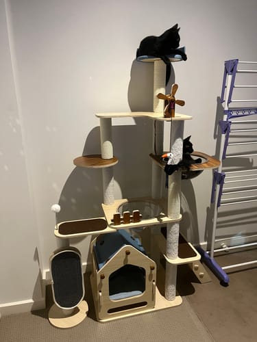 Customer photo review of Adorable & Attractive Modern Wooden Large Cat Tree with Windmill Design