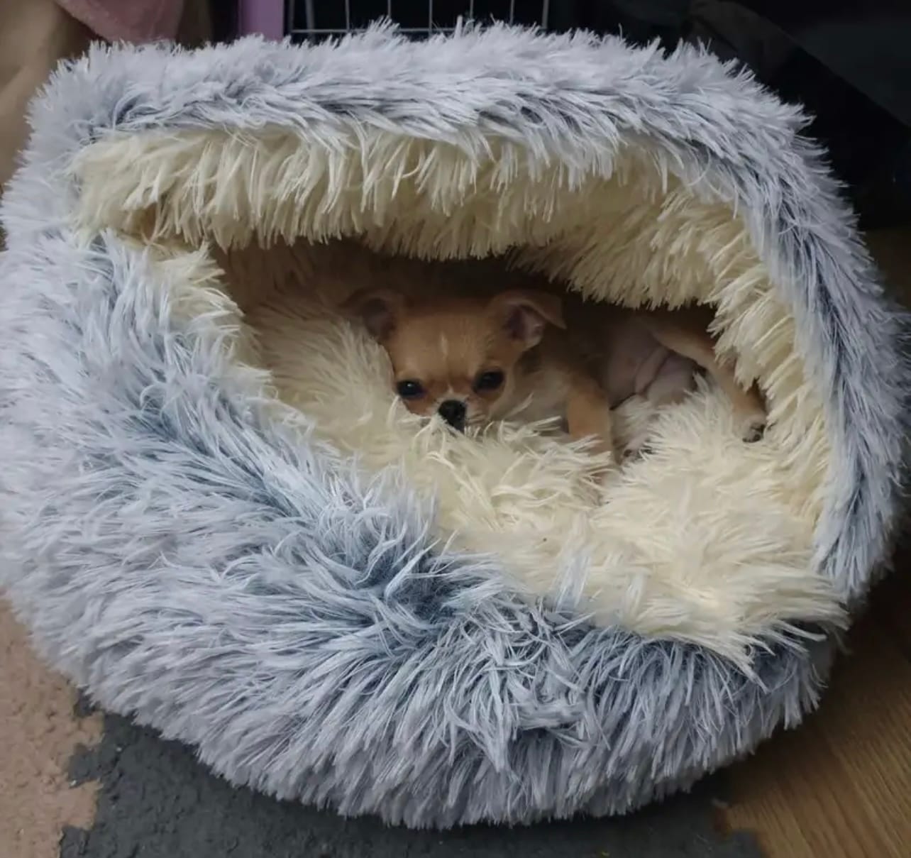 Customer photo review of CozyCave™ Suojaisa peti lemmikeille