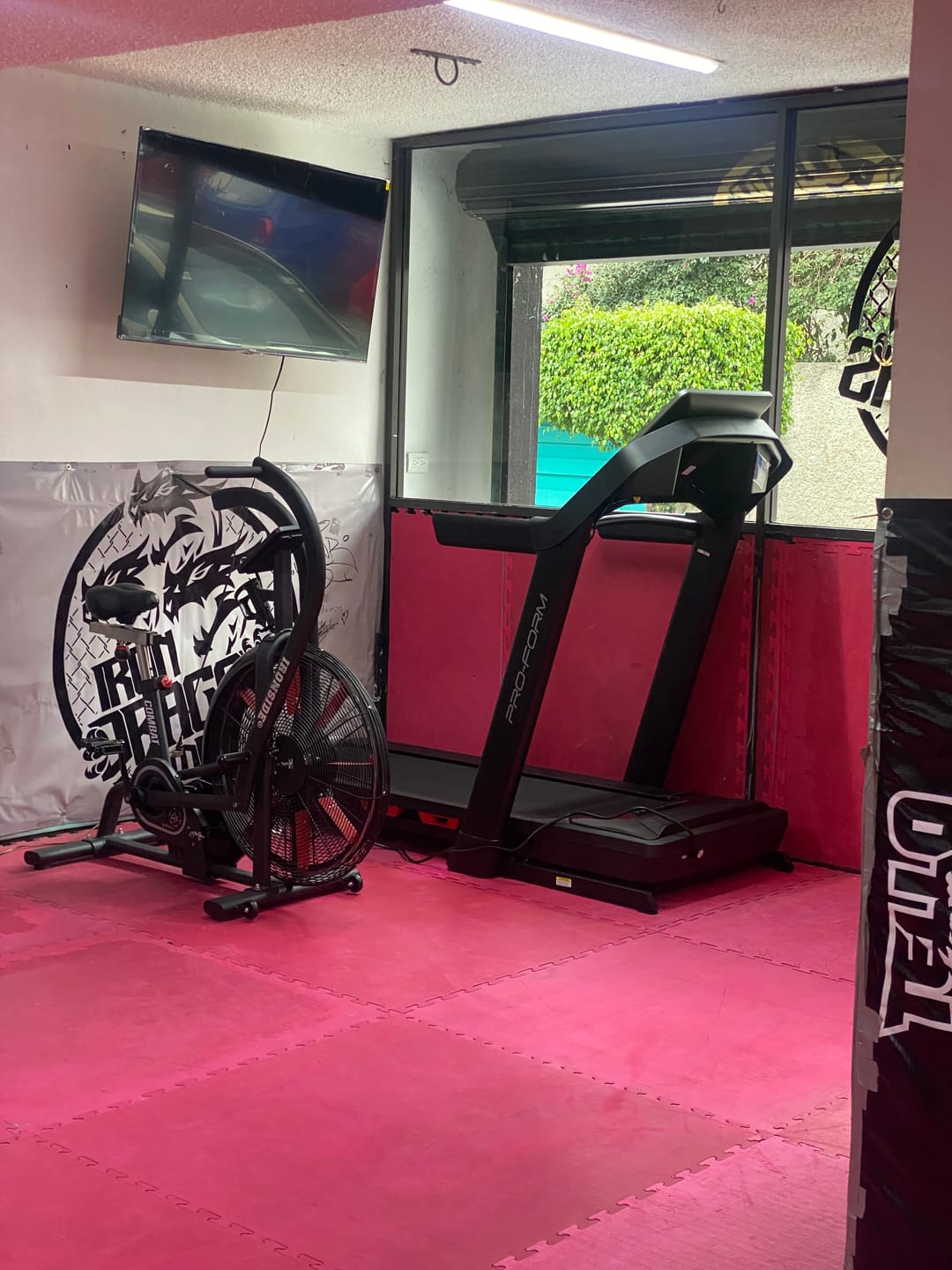 Customer photo review of ECHO Air Bike IRONSIDE Combat