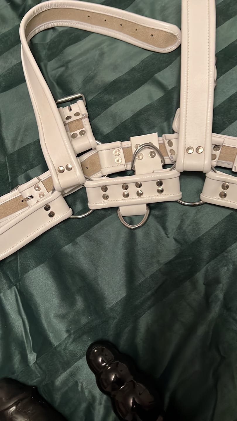Customer photo review of THE WHITE BULLDOG