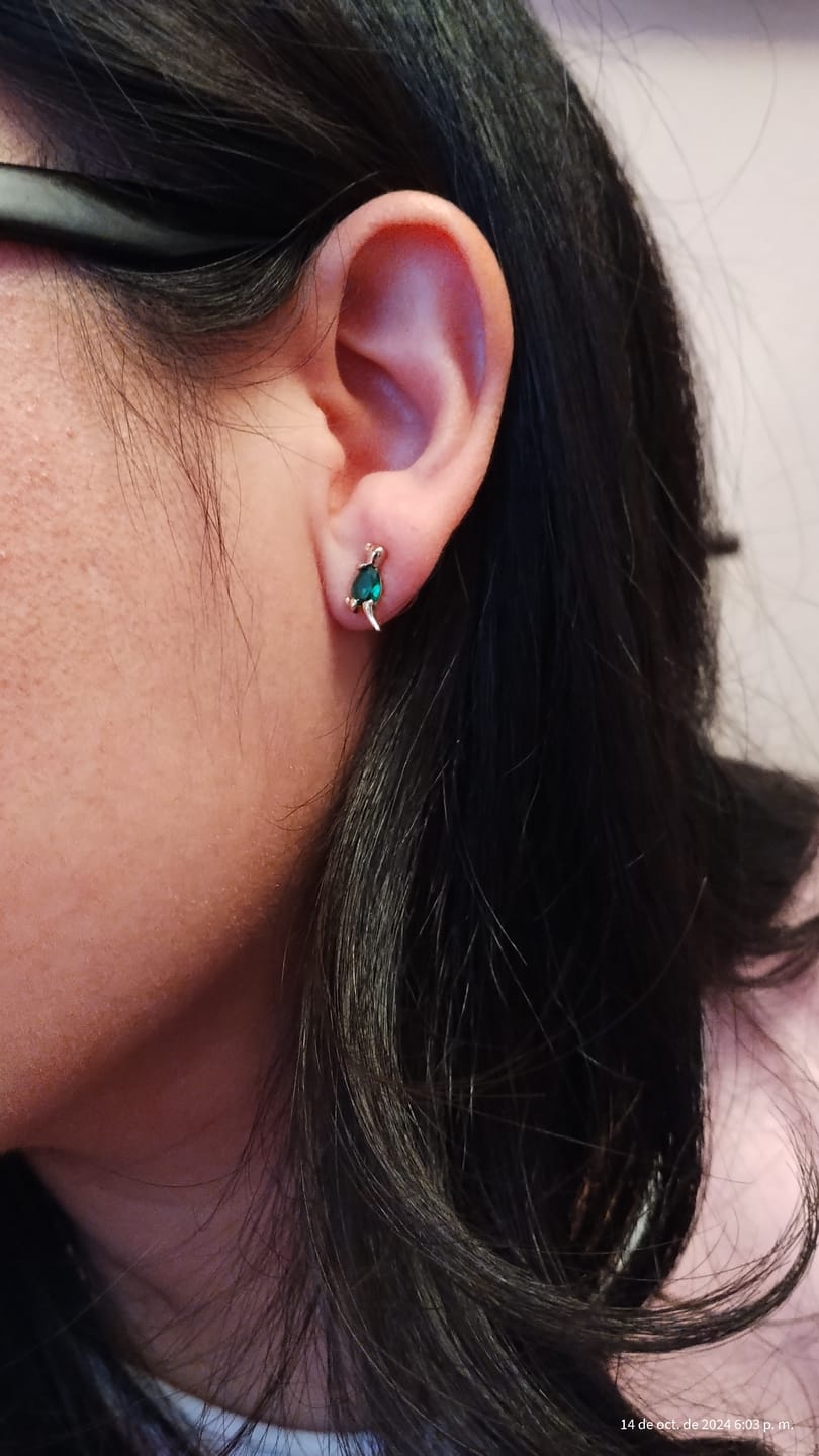 Customer photo review of Aretes de Dinosaurio
