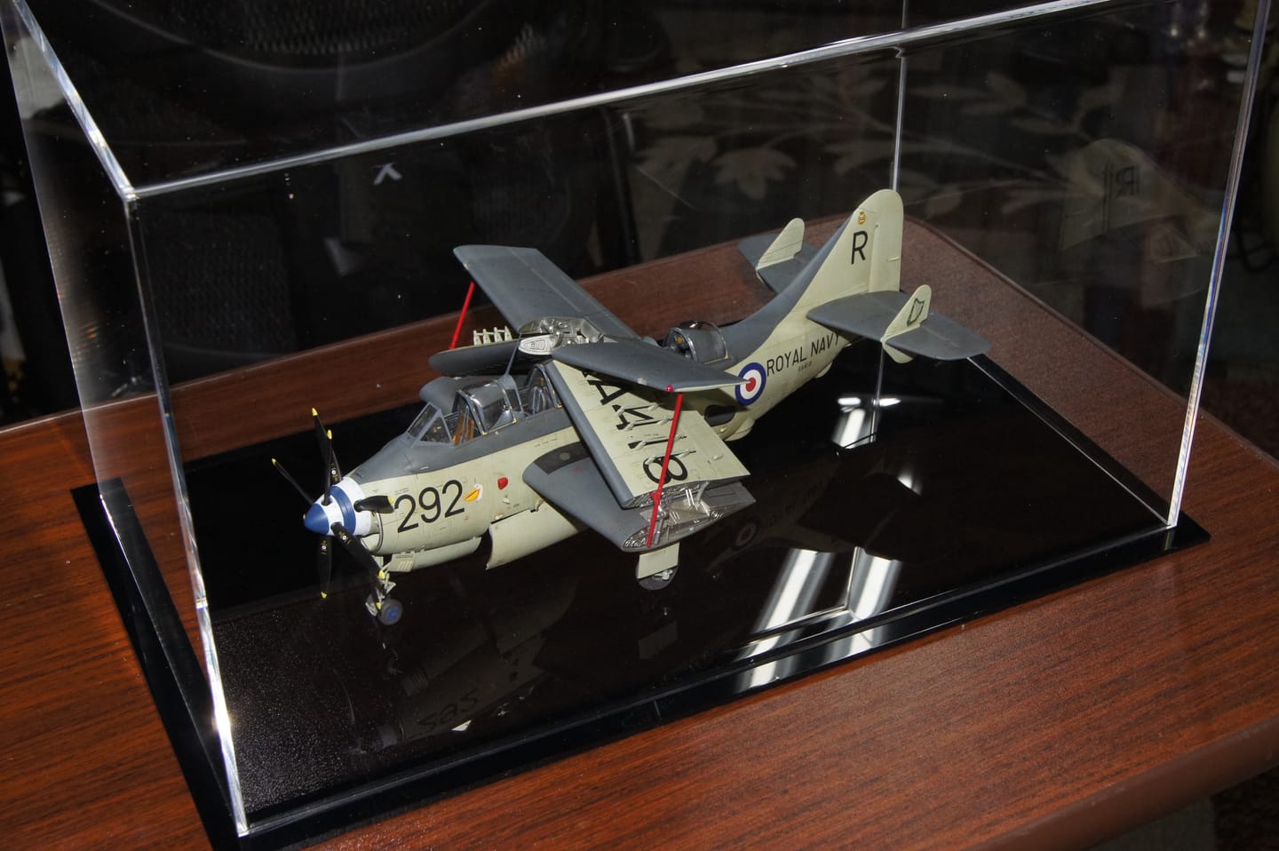 Customer photo review of Acrylic Versatile Display Case 14 X 8 X 8.5 Clear (A011/V16)