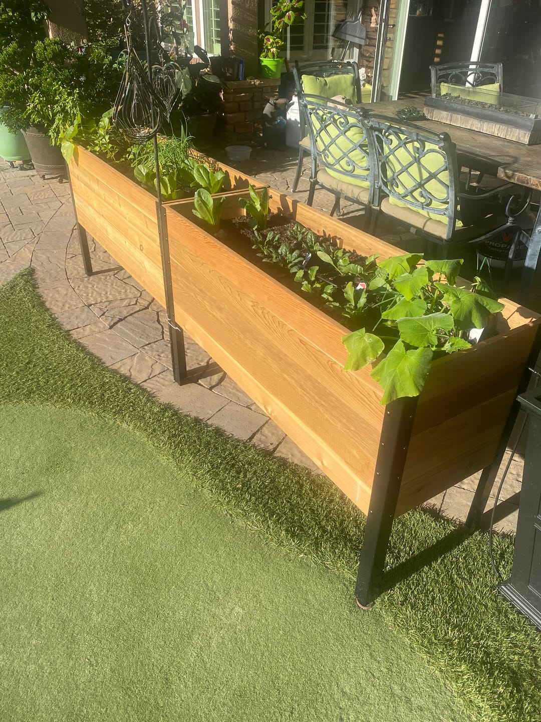 Customer photo review of Raised Garden Bed - 46cm x 122cm x 76cm