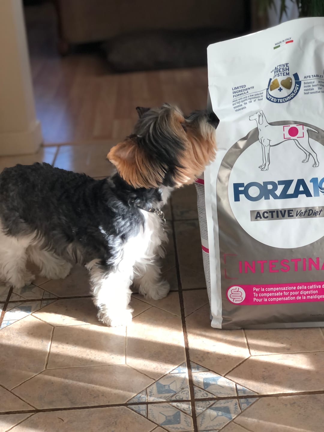 Customer photo review of VetDiet Intestinal suņiem