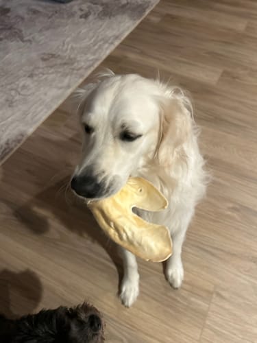 Customer photo review of PawProtect